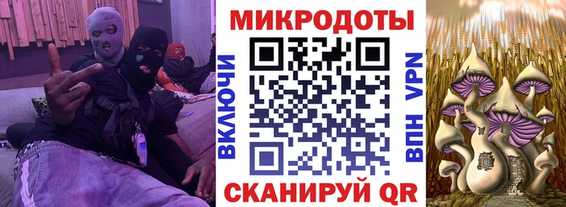 гидра сайт  Выборг  Псилоцибиновые грибы Psilocybine cubensis 